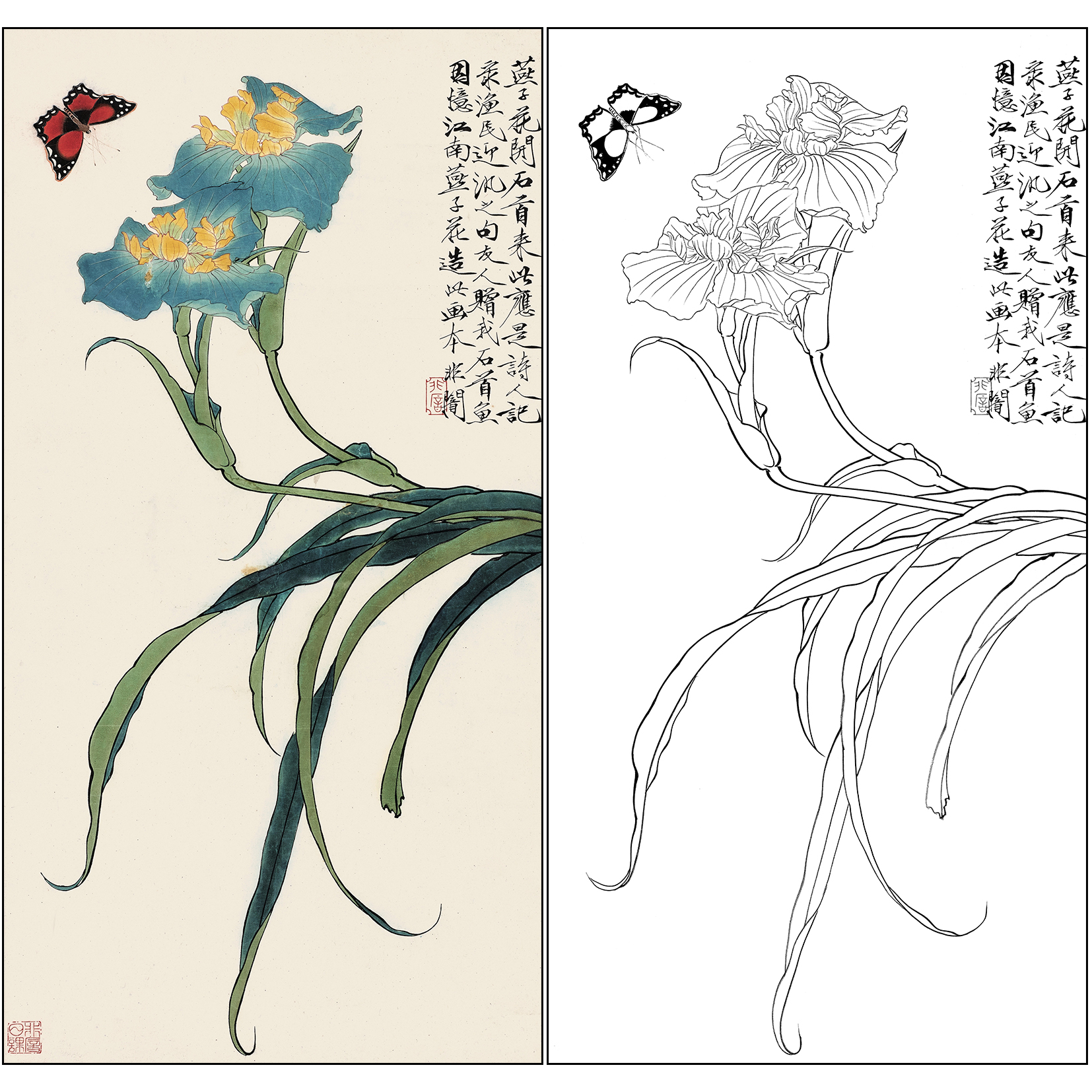 工笔画白描底稿于非闇花鸟《燕子花开蛱蝶来》临摹勾线高清打印稿FA70