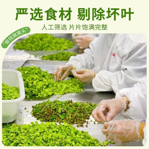 2026头茬榆钱窝窝头 纯手工无添加 新鲜榆钱叶 面少叶多不发硬  现做现发 商品图5