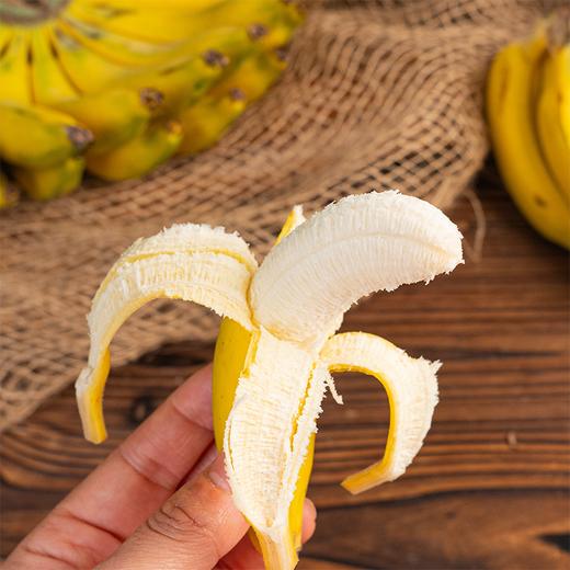 【排单发货】极客生态小香蕉丨农科院新品种，细腻无渣，焦香浓郁，放到出黑斑会更好吃。⭐圆通快递 商品图5