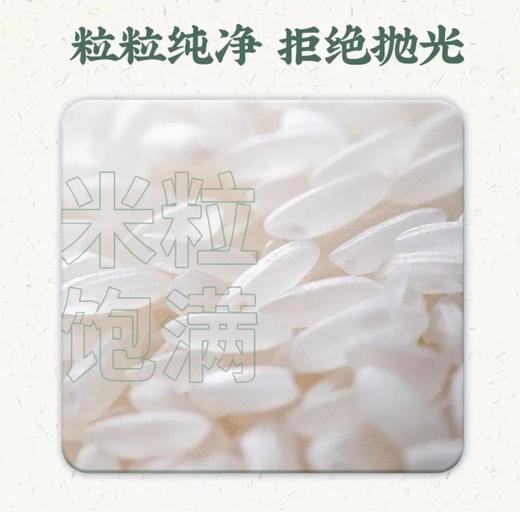 五福裕泰·新疆福海富硒大米 多规格可选  米粒饱满 商品图3