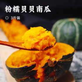 粉糯贝贝南瓜 | 板栗口感香甜粉糯 囗囗醇香 颗颗饱满 细腻绵密 少渣少筋 浓甜蜜而不腻 自然口感更好吃
