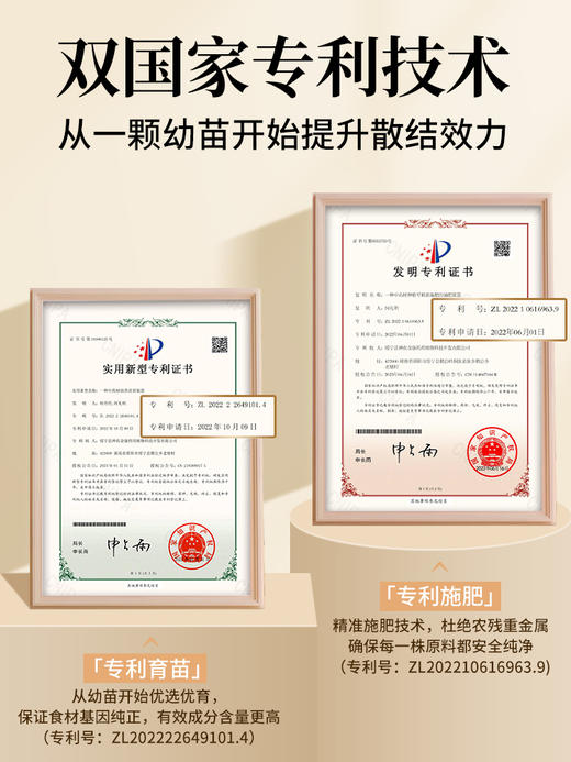 草木方 蒲公英散结茶 商品图5