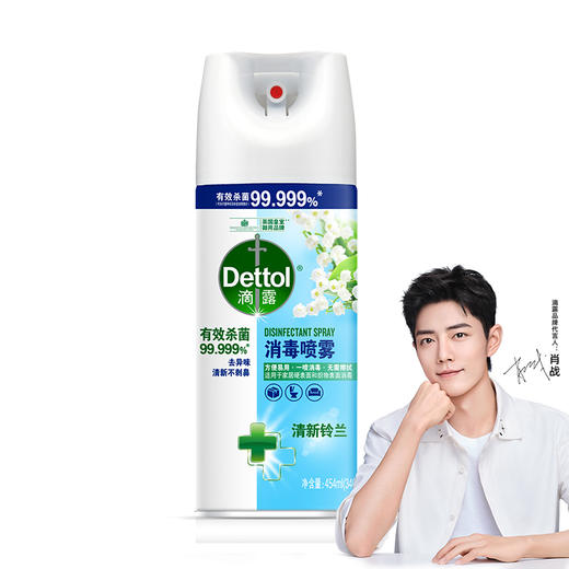 滴露 消毒喷雾清新铃兰454ml(340g) 22211142571 商品图3