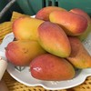 三亚贵妃芒（树上自然熟) 商品缩略图1