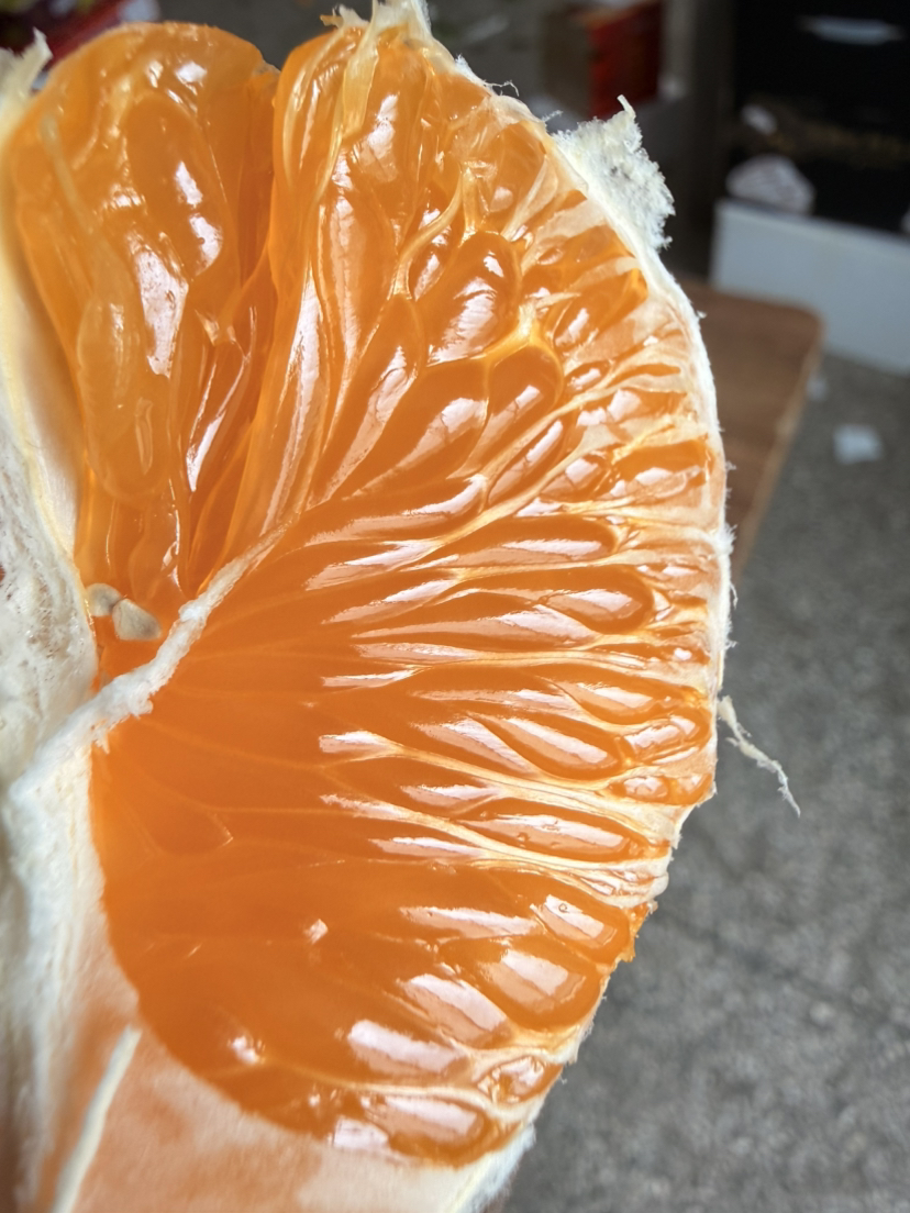 烈焰甜心·麒麟金川·柑橘类水果新王驾临！