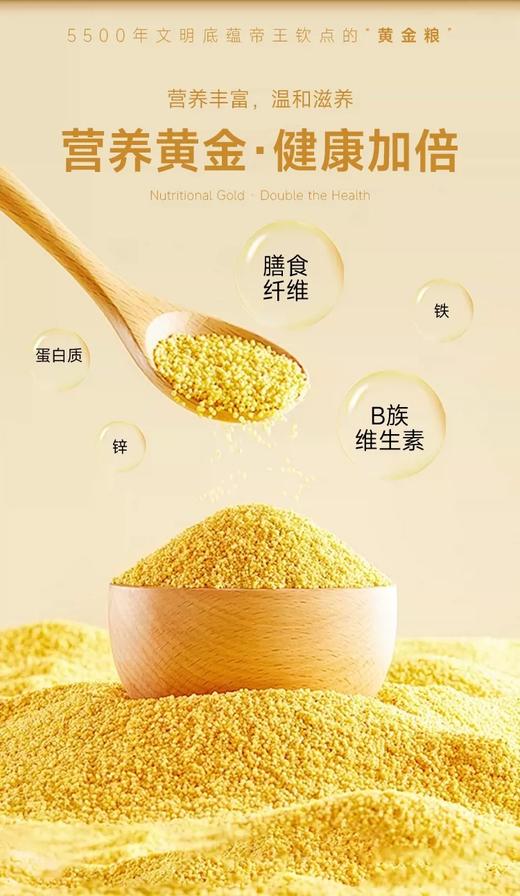 【积分兑换】千麦道当季东北黄金苗K1小米 北纬41°黄金小米 品质保证400g 商品图6