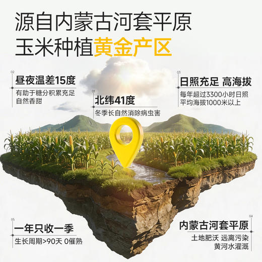 三胖蛋 黄/白 甜糯玉米228g（组合/礼盒） 商品图7