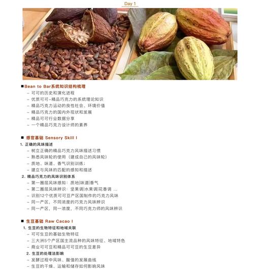 精品可可设计师初级认证课程 ｜CFCA专业课程 - 上海-5月6-8日 商品图2