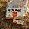 江西特产小罐腐乳 丨东方奶酪，180 天古法发酵，茅台提香 ，细腻软糯下饭菜⭐申通/邮政 商品缩略图5