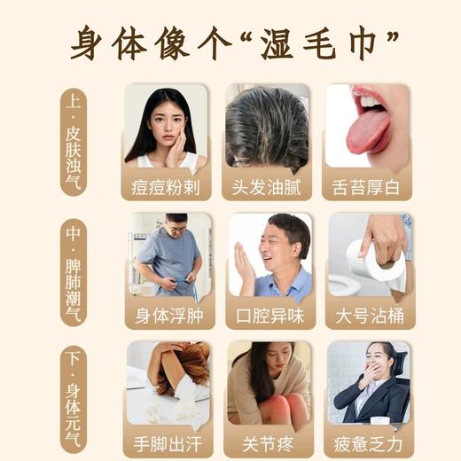 知物志·茯香顺和轻养茶 五指毛桃茯苓茶 祛湿健脾古方 草本祛湿健送家人送健康更安心 商品图3