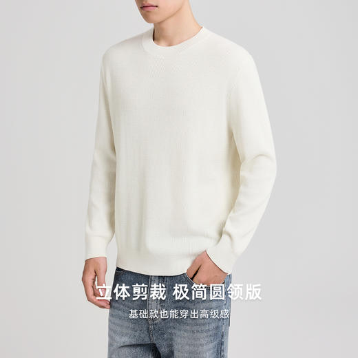 墨麦客男装羊毛混纺毛衣男新款提花基础圆领针织衫男21988 商品图1