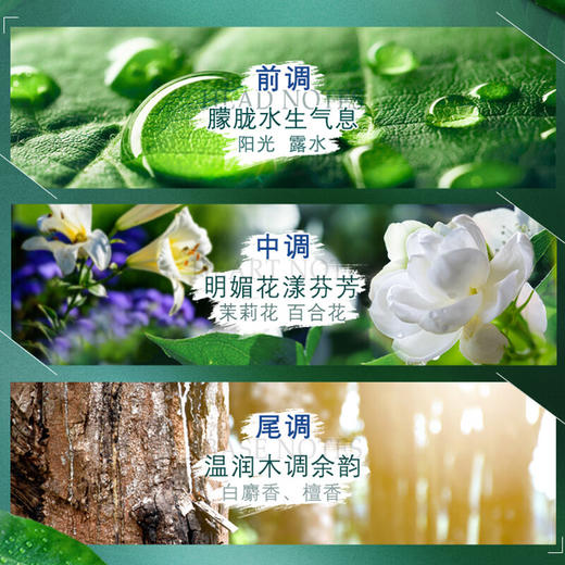 Tempo得宝 茉莉花味手帕纸4层7张12包 6947509910109-1 商品图4