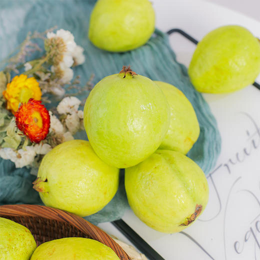 漳州树上熟奶油红心芭乐3斤彩箱 顺丰发货 商品图2