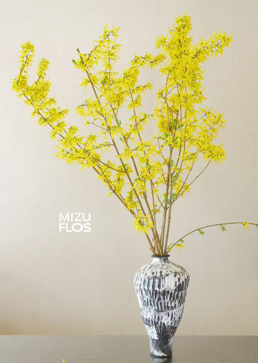 / 迎春花 /（不含花瓶） 商品图0