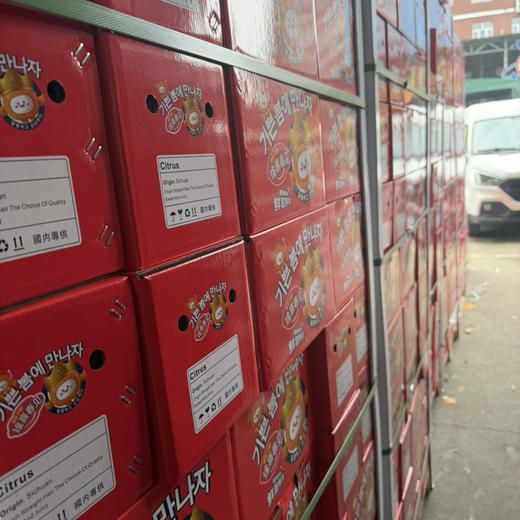 金喜粑粑柑🍊春见耙耙柑 口感不错 不干水 中果 23件 4.7-5斤装 商品图3