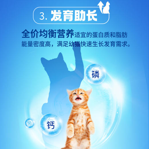 【雷米高】活力泰鲜肉系列功能日粮开口幼猫全价幼猫粮1.5kg 活力泰开口鲜肉全价猫粮1.5kg 商品图4