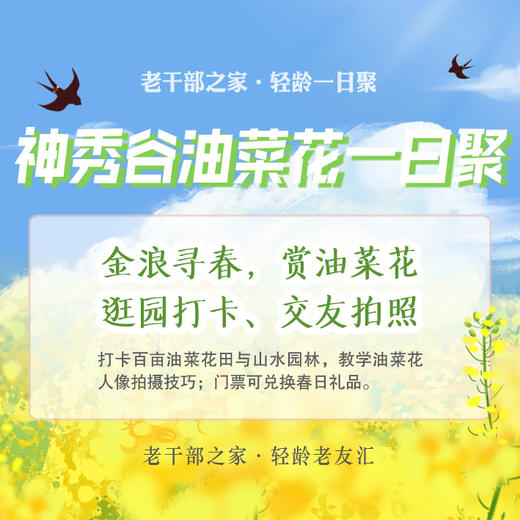 神秀谷油菜花一日聚 商品图0