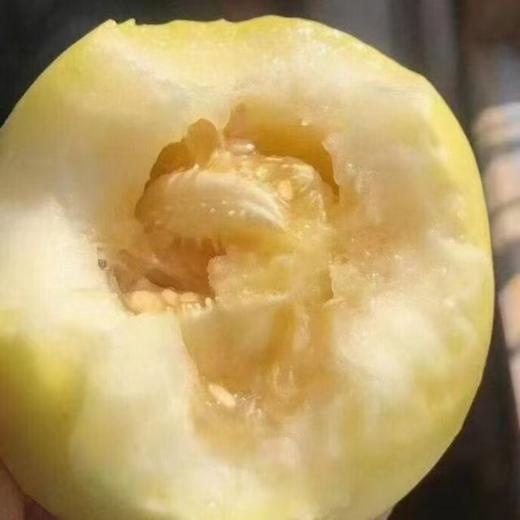 【小蜜蜂甜瓜】嘎嘣脆，贼拉甜， 商品图1