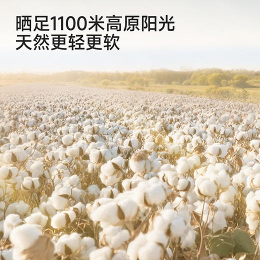 【高定系列】英氏儿童帽子男童女童渔夫帽可爱百搭帽子春夏新款 商品图2