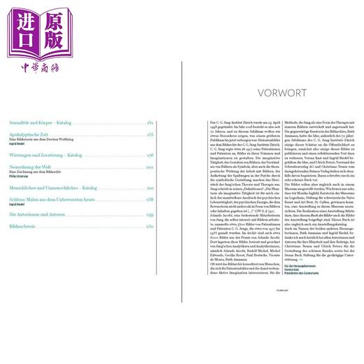 预售 【中商原版】【德文版】图像之书 1917-1950年荣格病人图像作品集 Das Buch der Bilder Schatze aus dem Archiv C G Jung 原版 商品图3