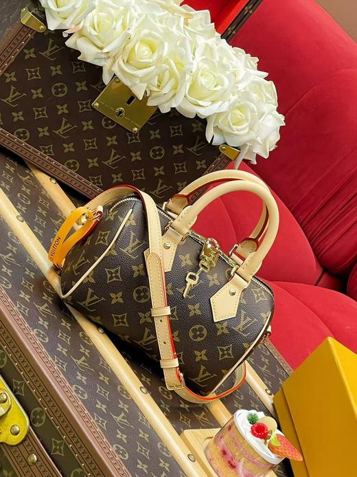 驴家 speedy 20 新款 皮肩带（JPH） 商品图3