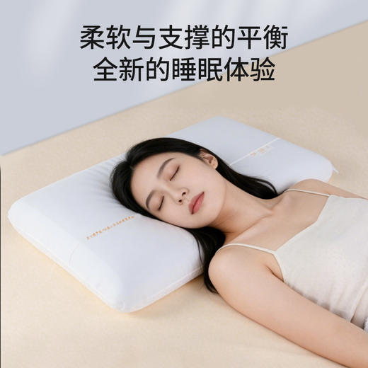 百士德严选记忆棉枕护颈枕助眠星级酒店同款 商品图2