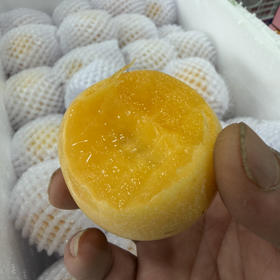 高糖 纯树熟人参果 脆甜嫩 来自高海拔16.8/斤