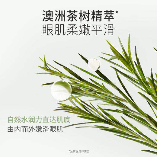 【油皮眼霜】  改善黑眼圈 补水保湿 清爽易吸收 茶树控油水衡眼霜30g 商品图4
