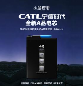 【美点特惠】64V45AH 小哈锂电 品字充电口 全新直购 不含安装