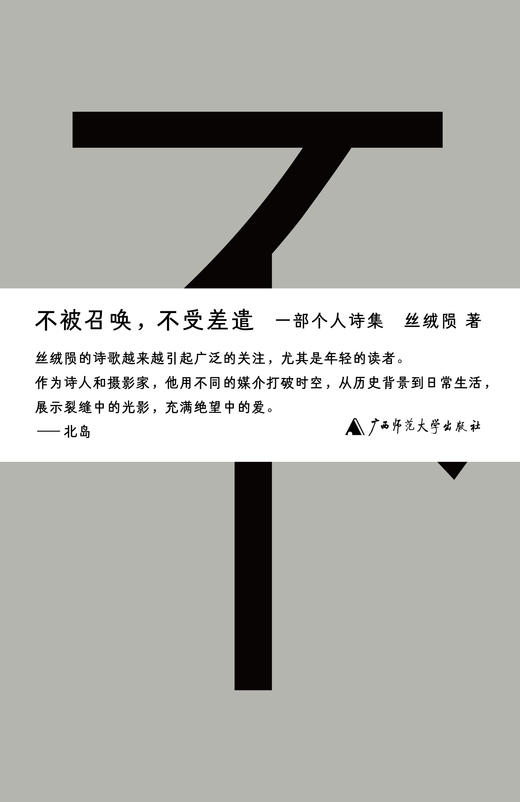 不被召唤，不受差遣 | 诗人丝绒陨个人诗集 商品图1