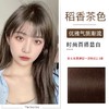 泡泡出彩 植物精油染发膏-稻香茶色 6954435884060 商品缩略图3