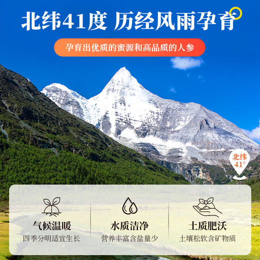 千年珍全须人参礼盒 长白山产区 多规格 商品图3