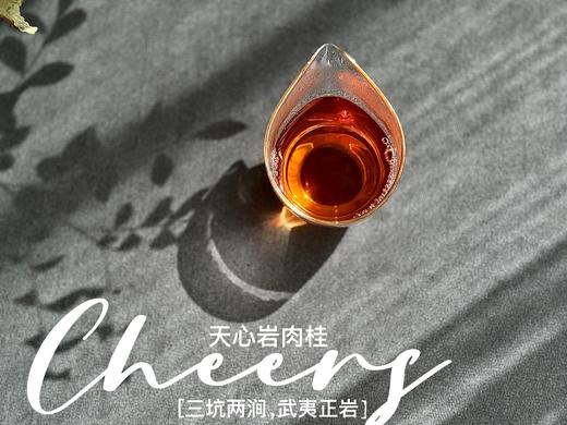 【春茶特惠集市】2025天心岩肉桂，桂皮香、蜜桃香、果香、木质香，超长待机，15冲后尾水还带着甜 商品图13