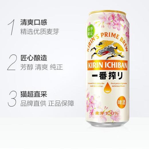 麒麟一番榨啤酒樱花装500ml 商品图1