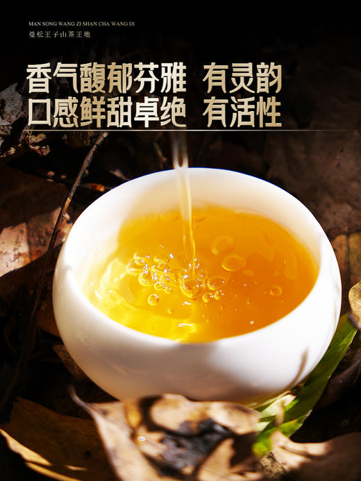 3月28日中午12点【曼松王子山茶王地】2026年头春头采易武曼松王子山茶王地核心片区 王者中的顶流蕞接近茶王树的口感！ 商品图4