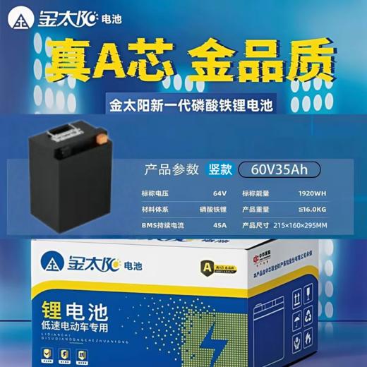 【美点特惠】60V35AH 竖款 金太阳锂电池 武汉到店 全新直购 商品图0