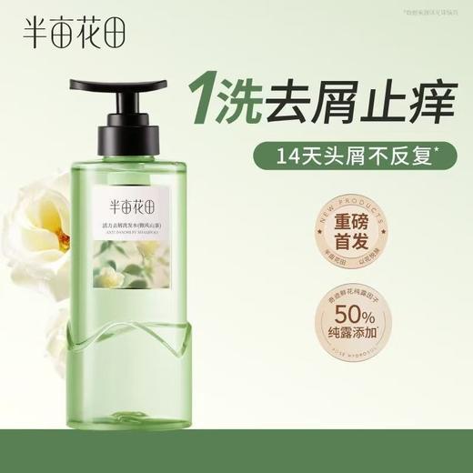 半亩花田 活力去屑洗发水（微风山茶）300g 6923427920383 商品图4