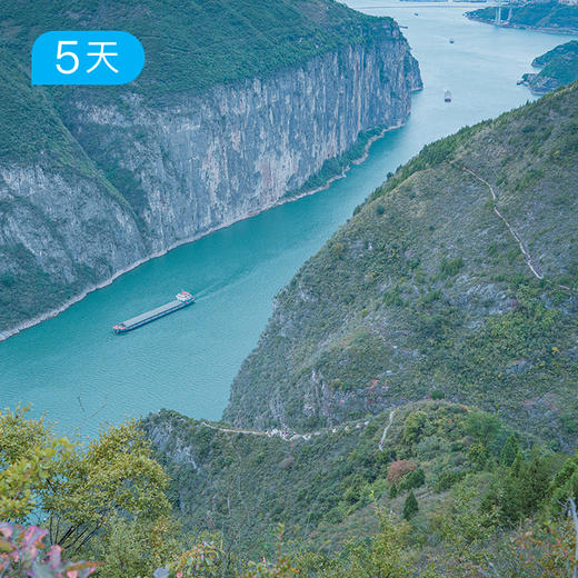 探三峡 · 走进长江｜26公里人文轻徒步 豪华游轮+徒步悠游三峡之路 5日 商品图6
