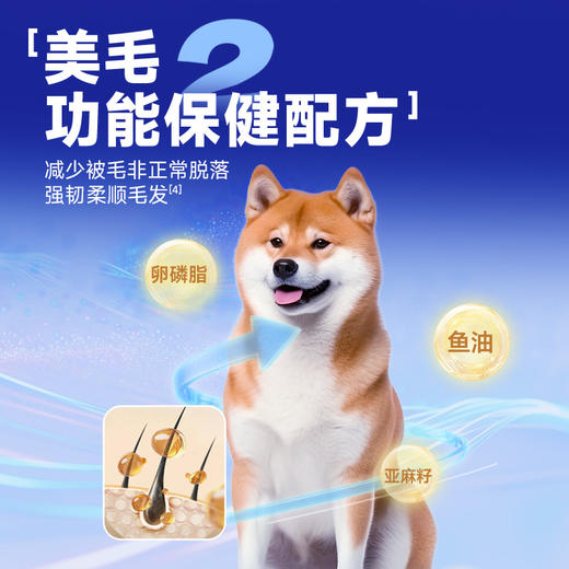 【雷米高】活力泰鲜肉系列功能日粮肠胃鲜肉全期全价犬粮1.6kg 活力泰肠胃鲜肉全价犬粮1.6kg 商品图3