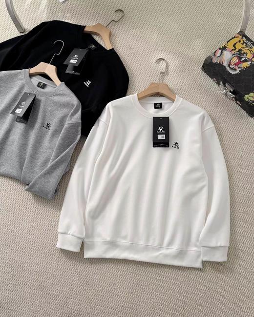 F032739早春新款利落百搭高支纱线刺绣圆领套头休闲卫衣 商品图4