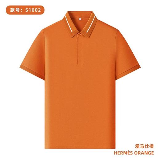 【200g 亚麻大珠地】间色提花二级领隐形织带扣纯色短袖polo衫   ZT-S1002# 商品图10