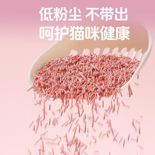 宠里宠外豆腐猫砂2kg4斤猫咪用品植物豆腐猫砂低尘祛味不粘底猫砂 商品图3