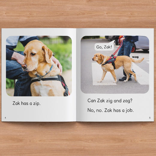 新标准自然拼读分级绘本 商品图8