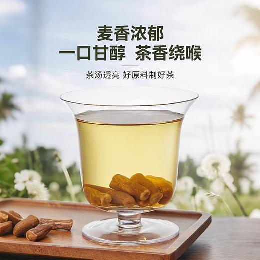 李时珍出品【有机蒲公英茶】 有机认证，源自黄山核心产区，野生头茬足龄壮根（72小时发货） 商品图3