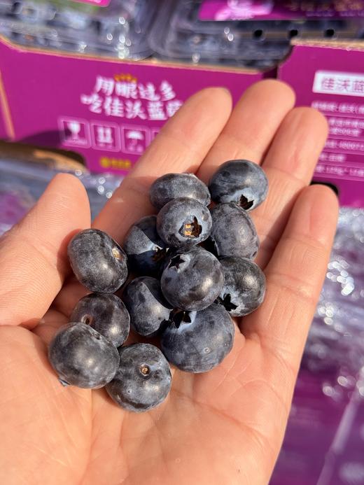 佳沃14+花香蓝莓 商品图1