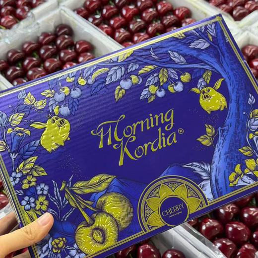 预售11号左右到仓：石家庄优选仓库速达（本周到货）大连美早樱桃4J 脆甜爆汁 果肉厚实 净重2斤礼盒装 商品图8