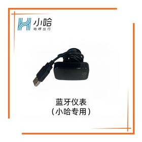 【美点特惠】蓝牙仪表