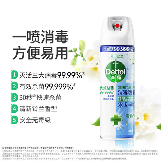 滴露 消毒喷雾清新铃兰454ml(340g) 22211142571 商品图2