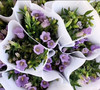 预售15号到货 浅紫色紫风铃 一扎300g 商品缩略图0
