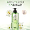 半亩花田 活力去屑洗发水（微风山茶）500g BMHT-707 商品缩略图2